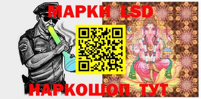 спиды Донской