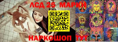 спиды Донской