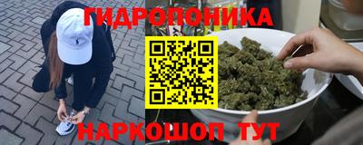 спиды Донской