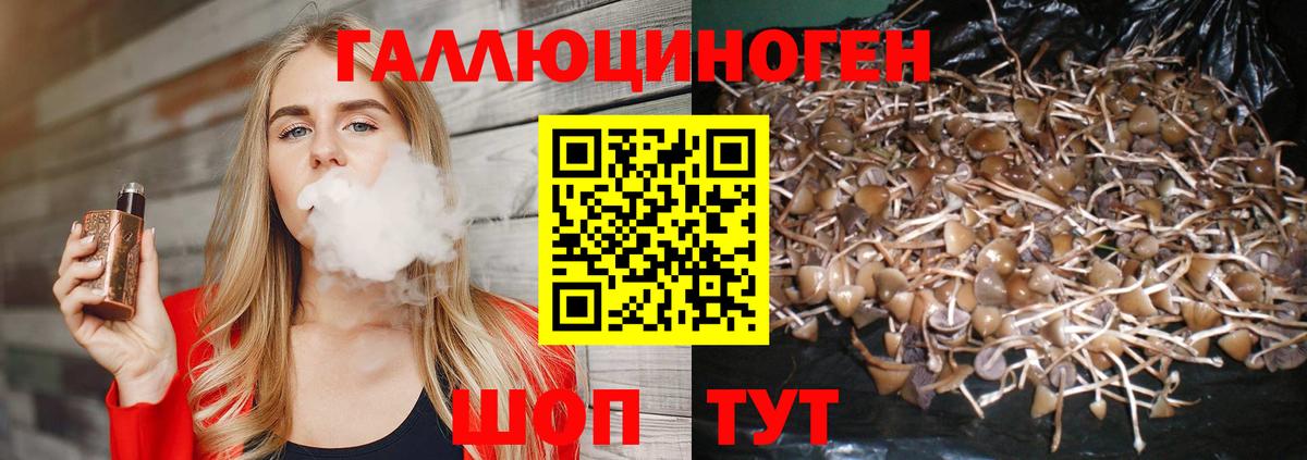 Галлюциногенные грибы мицелий Лыткарино