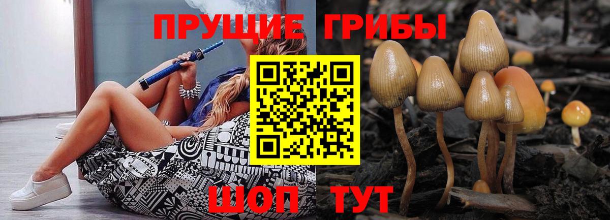 Псилоцибиновые грибы мухоморы  Вход с VPN  Галлюциногенные грибы GOLDEN TEACHER  Лыткарино 